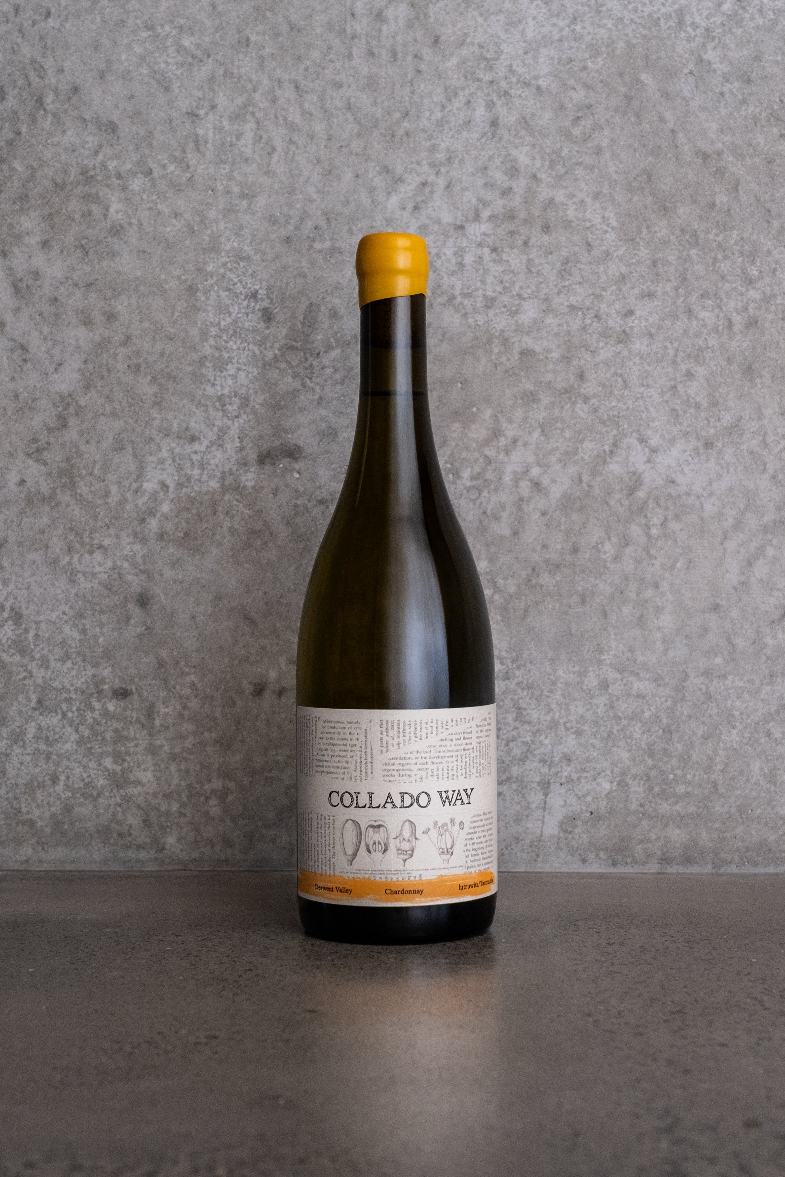 2025 Derwent Valley Chardonnay (6 pack)
